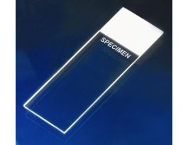 SLIDE MICRO SUPERFROST PRNT WHT 75X25 MM CS