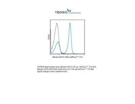 710 ANTI-MOUSE CD19 (1D3) 25UG