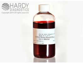 BLOOD SHEEP ALSEVERS 250ML