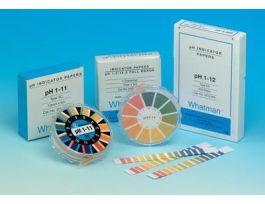 PANPH PLUS 6X85MM PK100 0-14