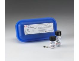 EZ-CFU S EPIDERMIDIS ATCC 12228