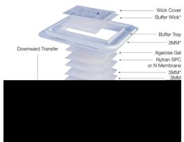 MEMBRANE TURBO 15X15CM PK1