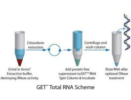 KIT TOTAL RNA ISOLATION GET 50PREPS