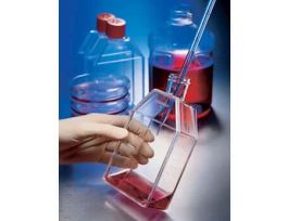 Cell culture flask, surface, 175 cm2, Angled neck, vent cap