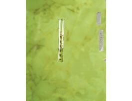 TUBE TEST GRAD KIMAX 10 ML