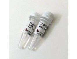 T7 DNA LIGASE - 100 000 UNITS