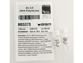 BST 2.0 DNA POLYMERASE - 1 600