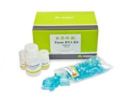 KIT BACTERIAL DNA V SPIN E.Z.N.A 5PREPS