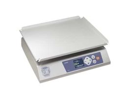 Digital Rocking Shaker, 110 VAC