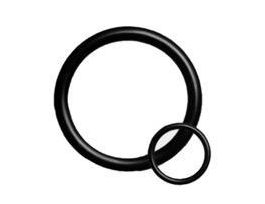 O-RING KALREZ. 4079 SIZE 110