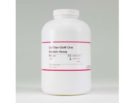 CELLTITER-GLO 1 SOL ASSY 500ML