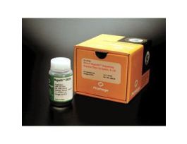 WIZARD MAGNESIL SEQ RXN CLN-UP SYS HTP1