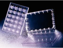 INSERT 24WELL 1UM PS HTS CS5.