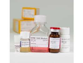 ADCC REPORTOR BIOASSAY CORE KT