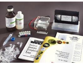 ELECTROPH INTROD COMPL LAB SYST