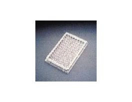 TC PLATE U-BOTTOM 96WELL CS50.