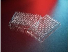 PLATE PC 96WL (M) IND NS CS25