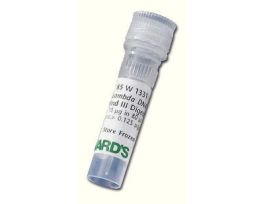 LAMBDA DNA/HIND III DIG-FREEZE UPON RCPT