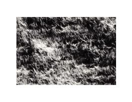 FILTER FLUOROTRANS 0.2UM 13X14CM PK10