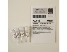 PNGASE F RECOMB P0708S