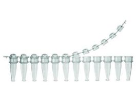 TUBE NEPTUNE PCR 0.2ML PK1000 CS