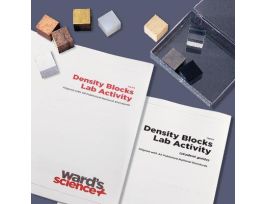 DENSITY BLOCKS LAB ACTIVITY