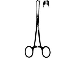 LASER ALLIS FCP 5X6 7 1/2IN