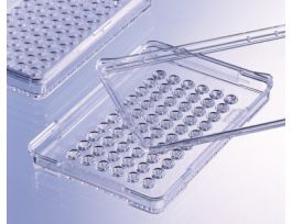 PLATE TERASAKI 60WELL CS480