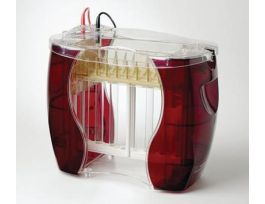 PLATES GLASS 18X8CM F/PRT VERT UNITPK2