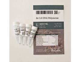 BST 3.0 DNA POLY M0374L