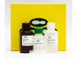 GEL RNA RECOVERY KIT ZYMOCLEAN 50 PREPS