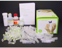 ILLUSTRA BLOOD MINI (50)