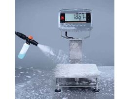 Defender 6000 Advanced Washdown Scale, 300 lb x 0.02 lb, Polycarbonate Indicator