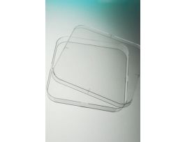 PLATE SQUARE PETRI NATURAL 4 VENTS PS