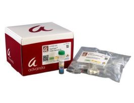 RAPIDCLEAN PROTEIN REMOVAL KIT.