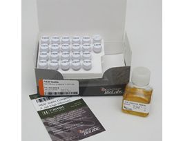 NEB STABLE COMP E.COLI (HE) C3040H