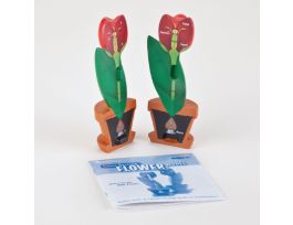 MODEL CROSS SECTION FLOWER