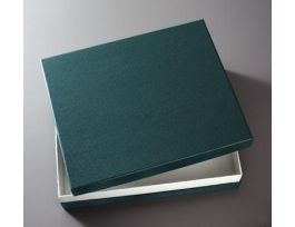 ECONO.CARDBOARD INSECT BOX SOLID TOP