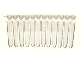 VWR CAP STRIP LIB 8-S ST PK125. PK