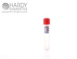 GRAM-NEGATIVE BROTH 12X80MM TUB 4ML FILL