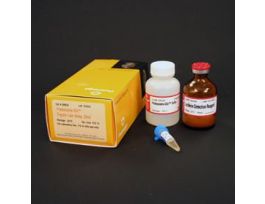 PROTEASOME-GLO TRYPSINLIKE ASSAY 50ML