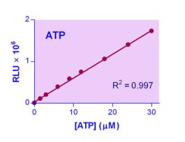 KIT ATP ASSAY ENZYLIGHT 0.1 UM 100 TESTS