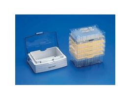 Single Use Racks 50 to 1000 uL 480/Pk