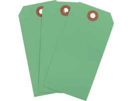 Blank Write-On Tags, 4.75" H x 2.375" W, Cardstock, Light Green 1000/PK