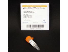 PGL4.21(LUC2P/PURO) VECTOR 20UG