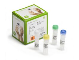 GENOMIPHI V2 DNA AMP KIT 100RX