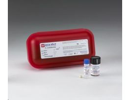 EZ-ACCU SHOT P ACNES ATCC 11827