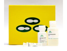 DNA CLEAN/CONCENTRATOR-5 (50 PREP)