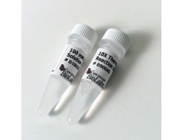 THERMOPOL RXN BUFFER-6 ML