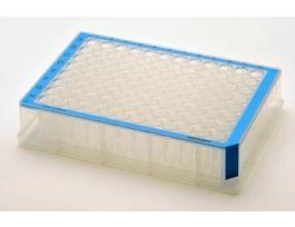 PLATE 96/500 DNA LOB BLU CS40